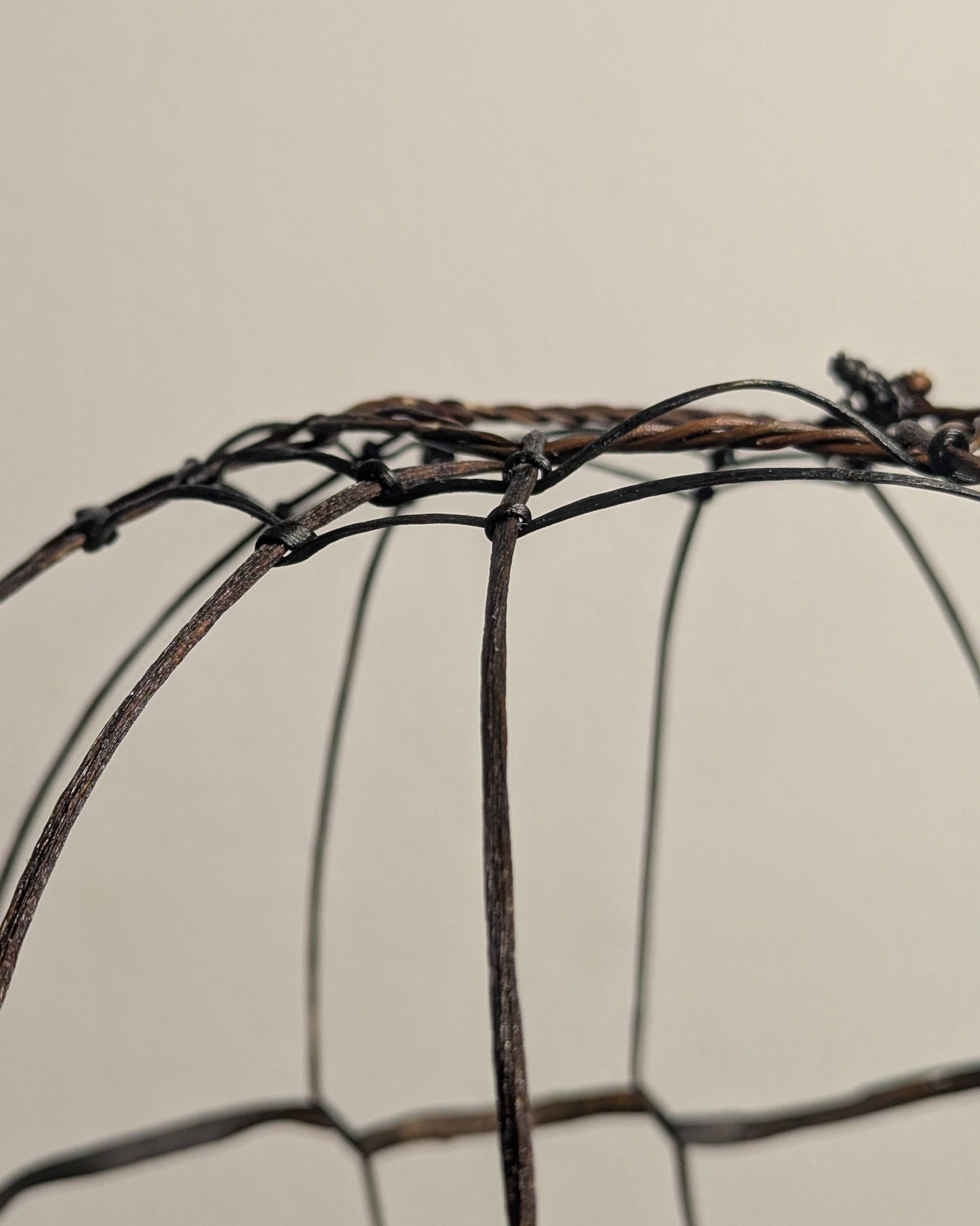 "Aerostatum Nocturnum" One-of-a-kind Seaweed Sculptural Table Lamp