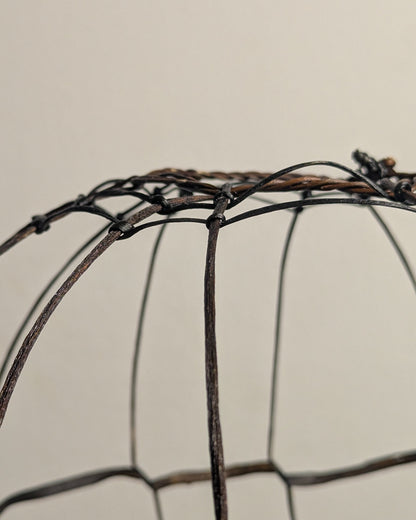 "Aerostatum Nocturnum" One-of-a-kind Seaweed Sculptural Table Lamp