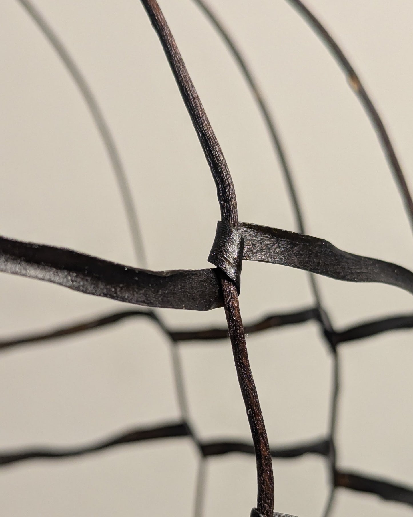 "Aerostatum Nocturnum" One-of-a-kind Seaweed Sculptural Table Lamp